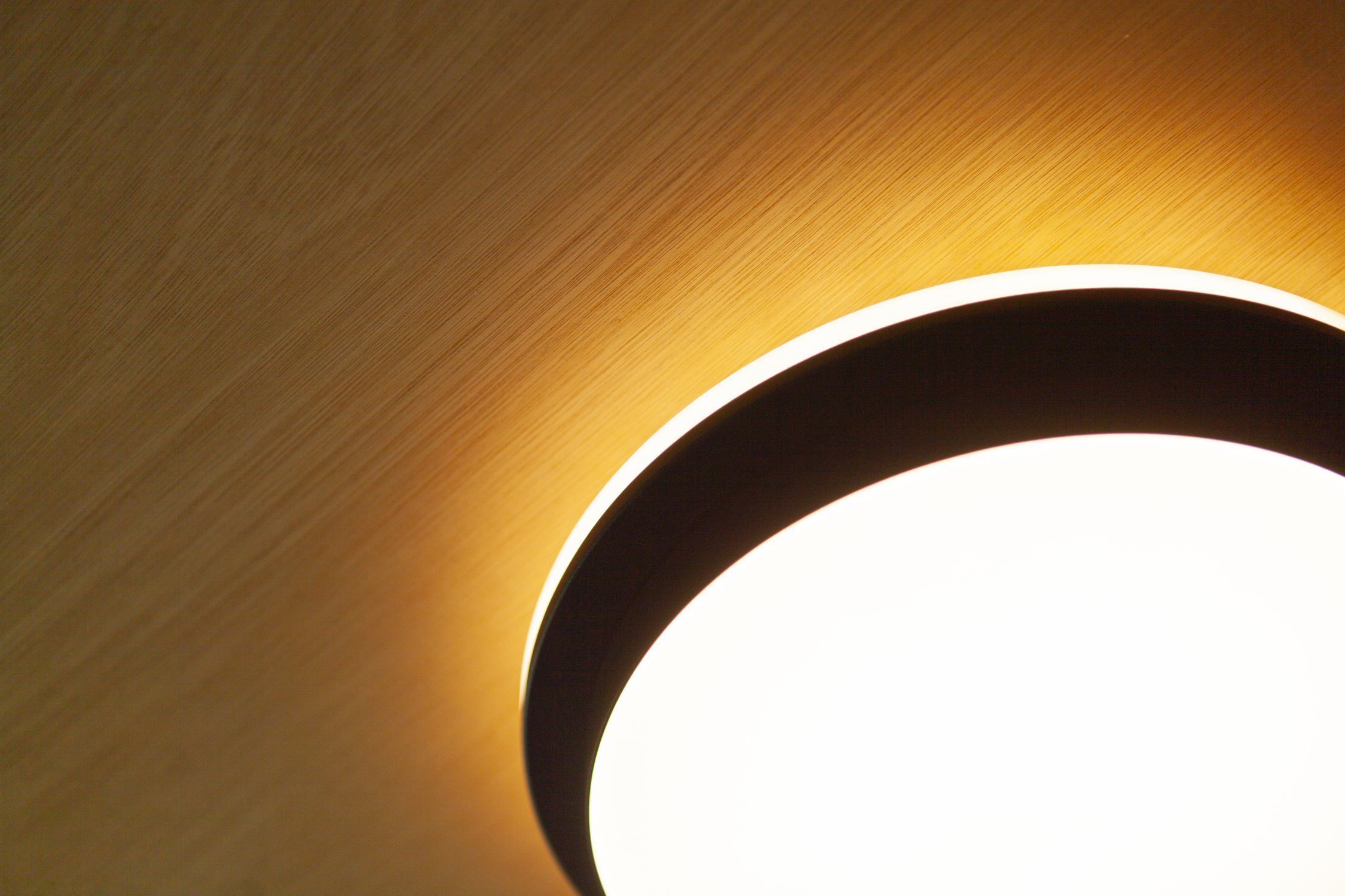 Applique murale extérieure LED Noir IP54 rond Ø30 cm 3000/4000 K Lampe, Lampenschirm, Beleuchtung