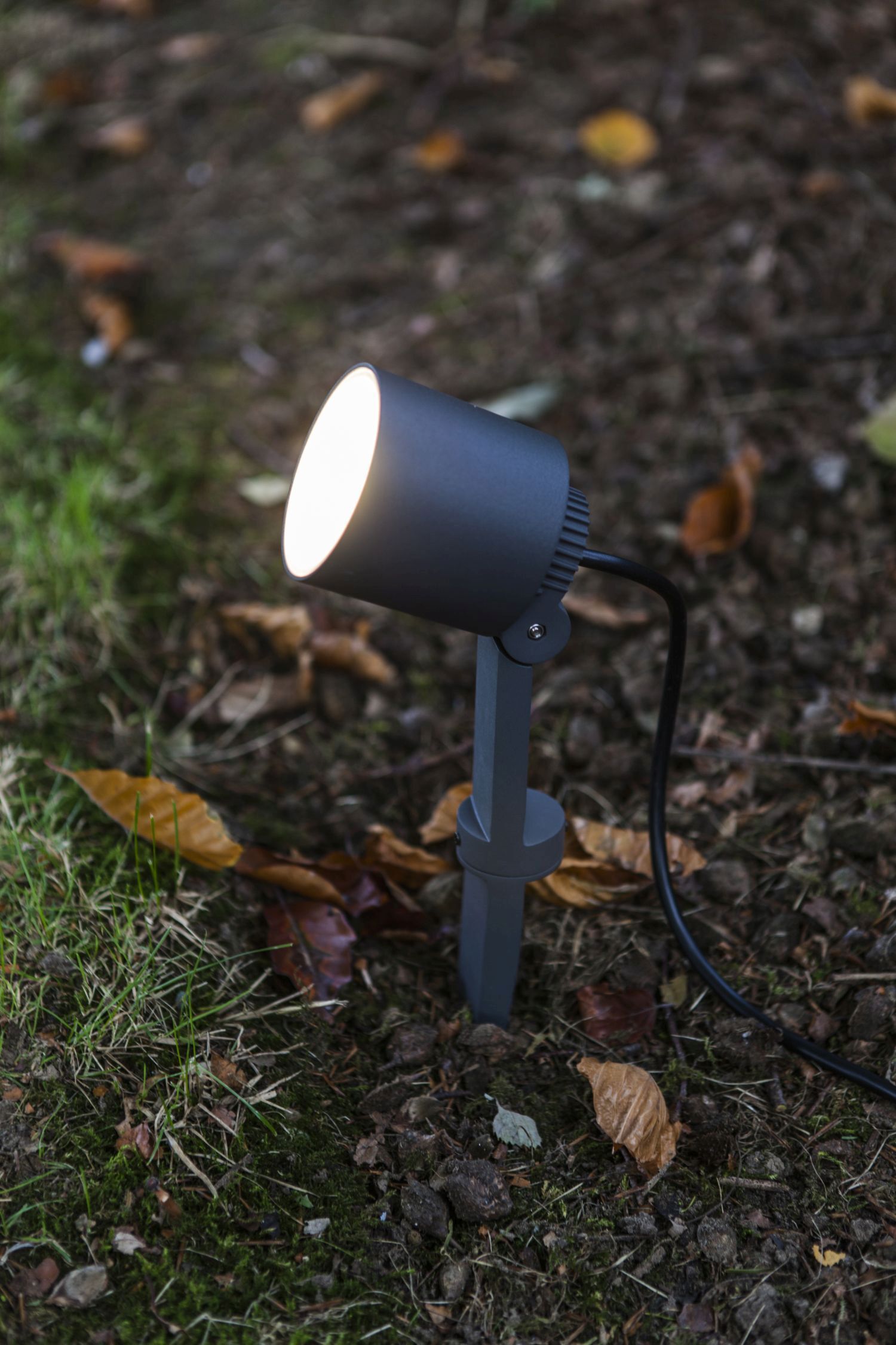 Beleuchtung, Spotlight, Lampe