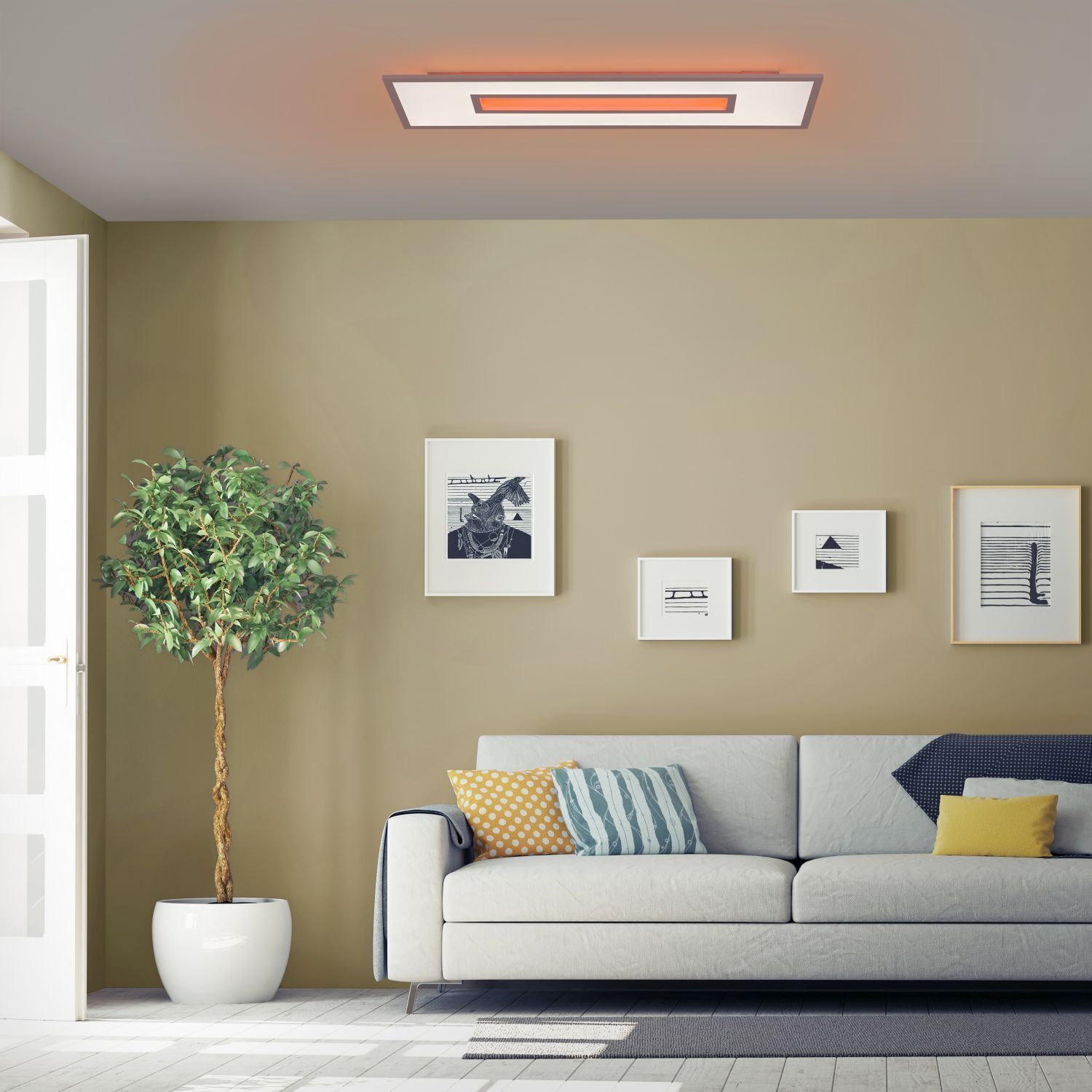 Wohnzimmer, Pflanze, Couch, Dekoration für Zuhause, Pflanze im Topf