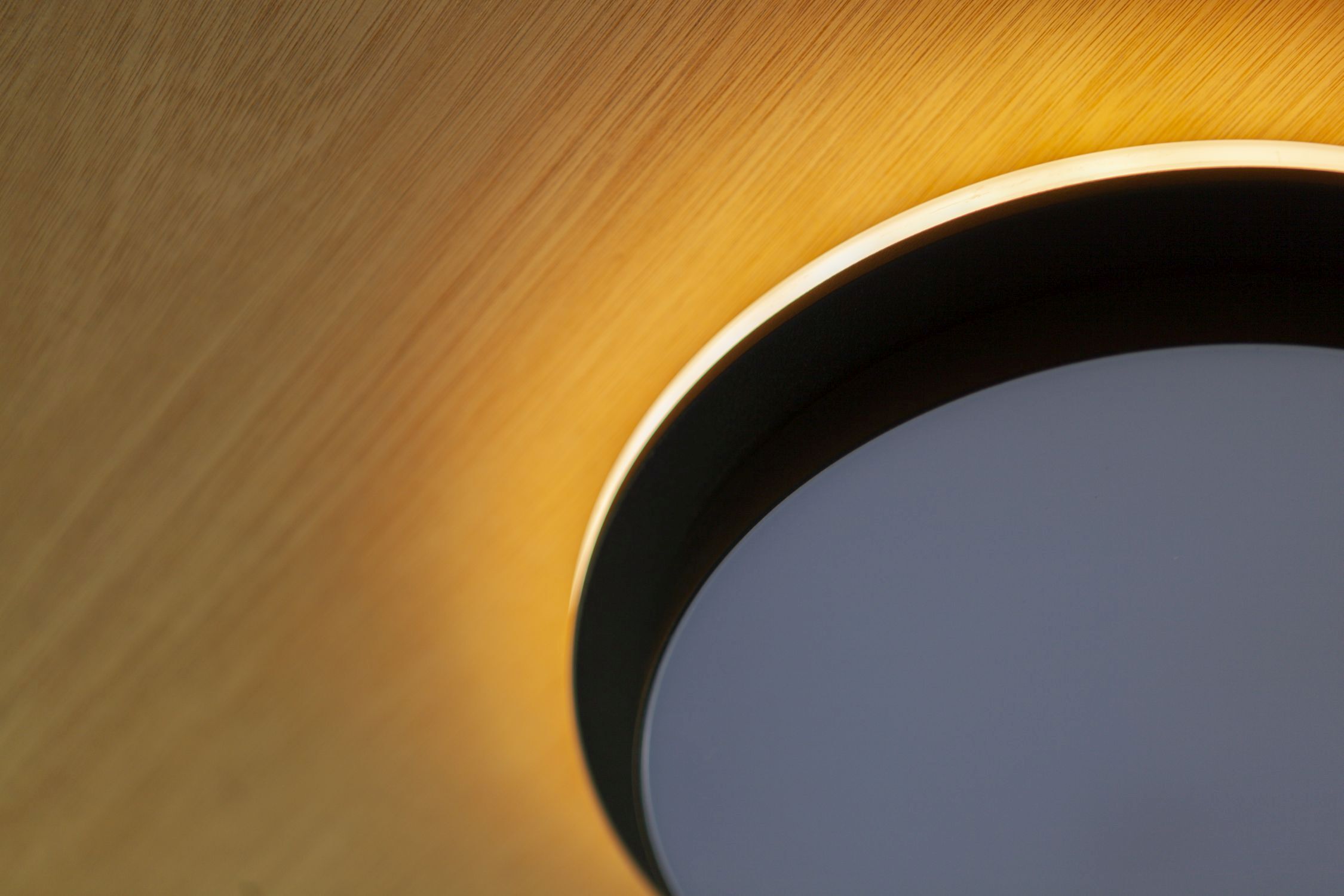 Applique murale extérieure LED Noir IP54 rond Ø30 cm 3000/4000 K Loch, Holz