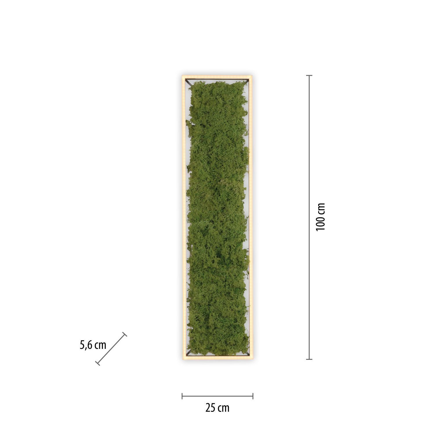 LED Deckenleuchte Moos L:100 cm 3000 K 3550 lm aus Moos Moos, Pflanze, Gras, Boden, Bewuchs