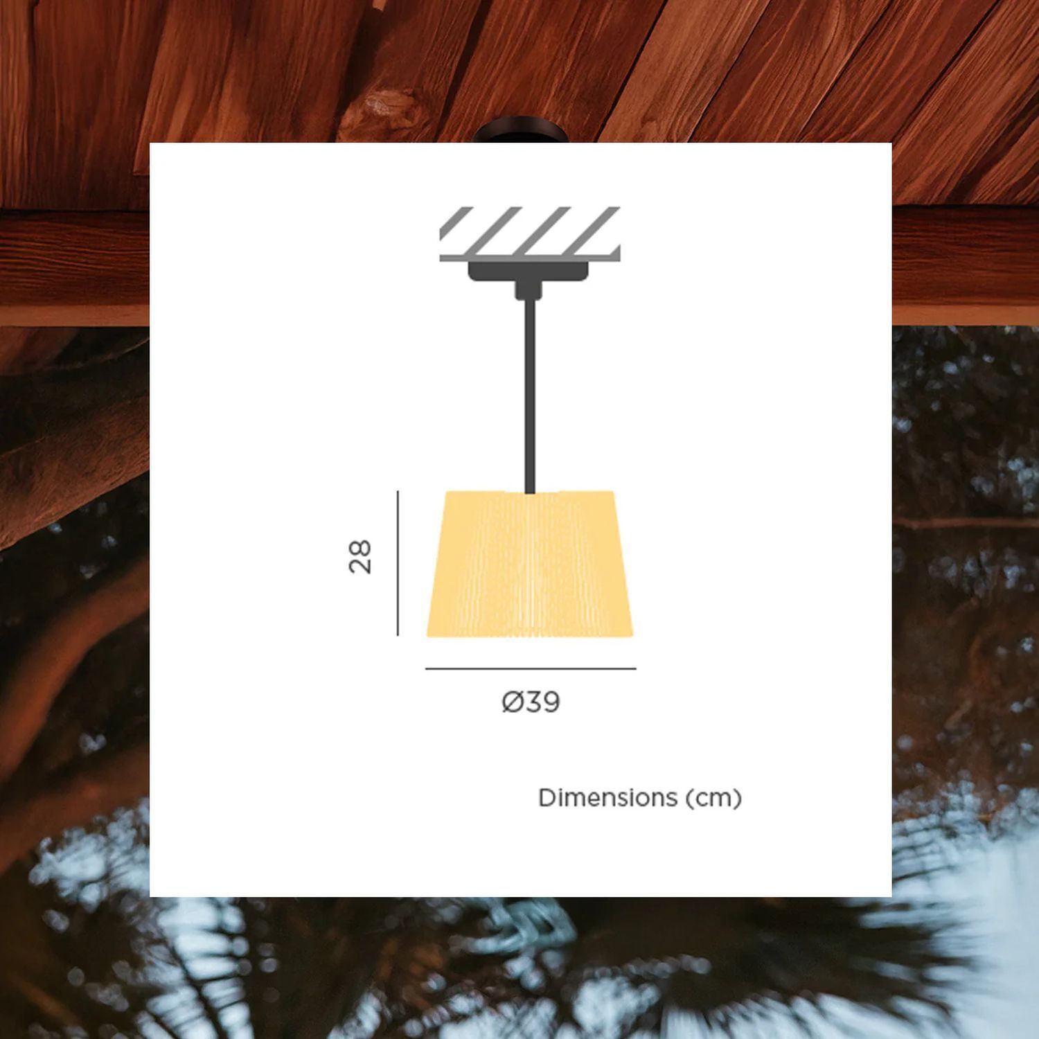 Visitenkarte, Papier, Text