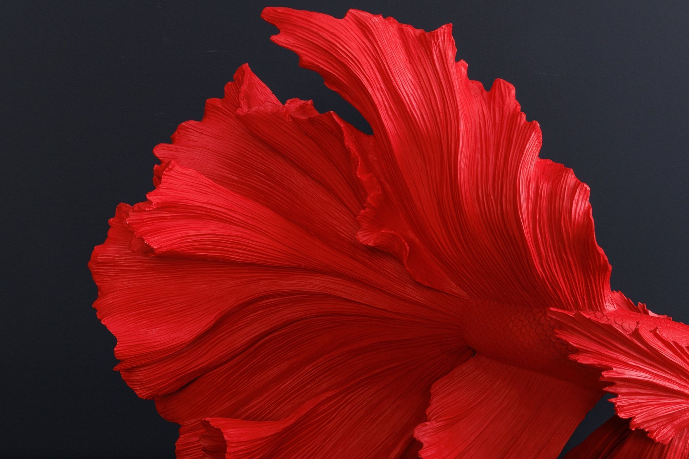 Dekostatue Kampffisch groß H: 56 cm Polyresin Rot Blume, Pflanze, Blütenblatt