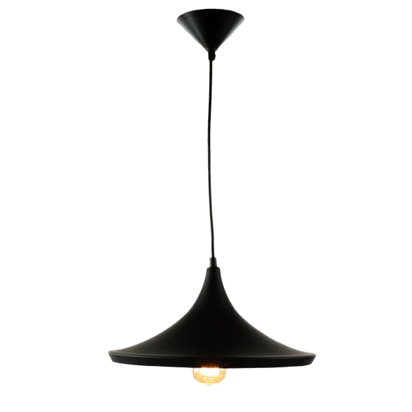 Lampes suspendues Noir Hängeleuchte, Pendelleuchte, Schwarz, Metall, Edison-Birne