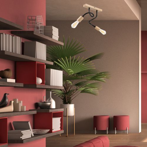 Pflanze, Pflanze im Topf, Wohnzimmer, Innenarchitektur, Stuhl